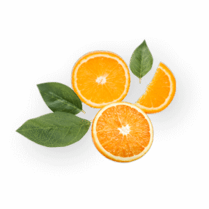 Universal Fruits