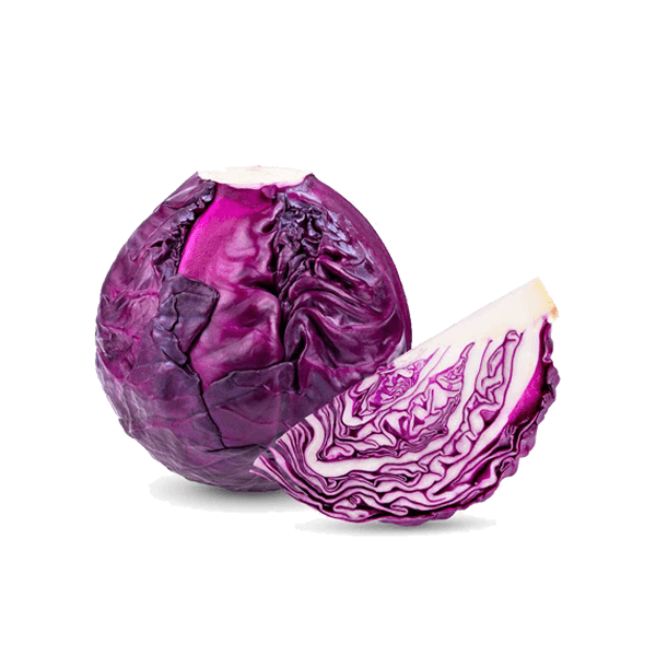 Garden Red Cabbage
