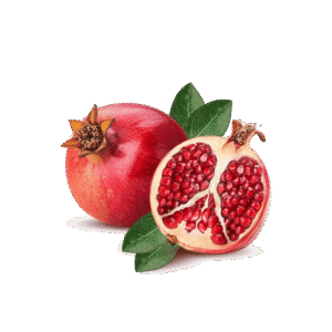 Chalisa Pomegranate