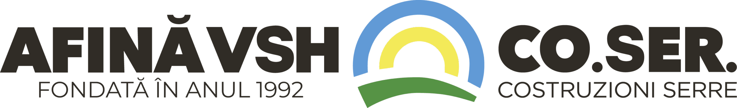 logo afina-vsh-2-2